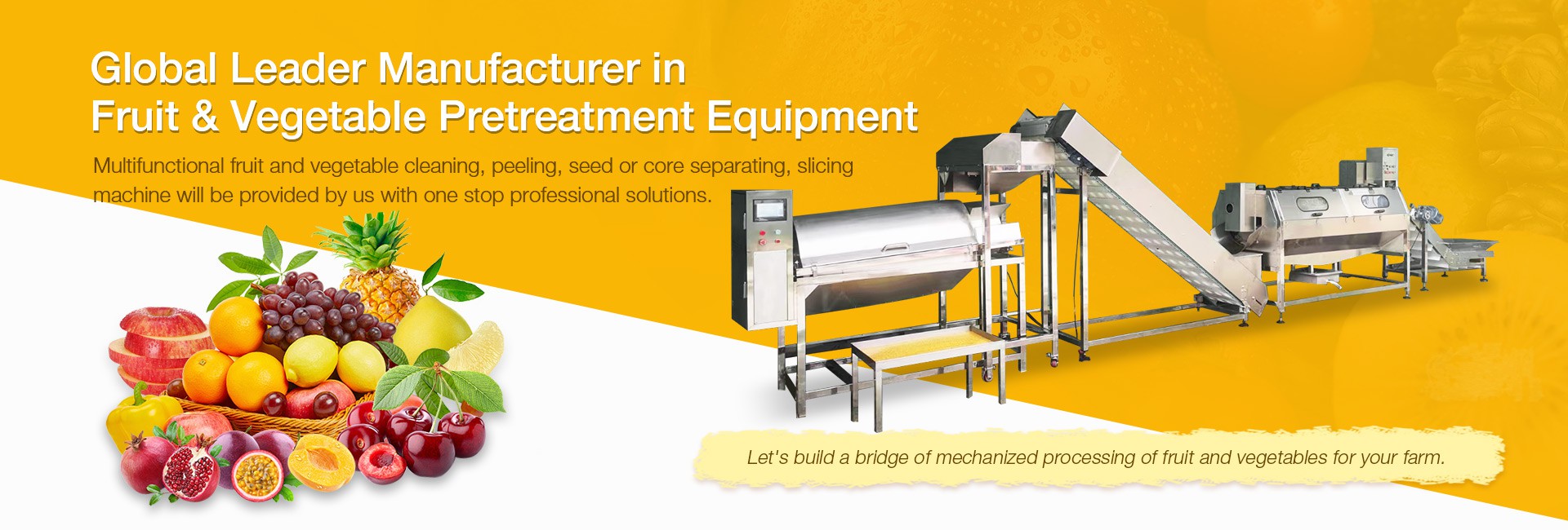 Fruit process equipment