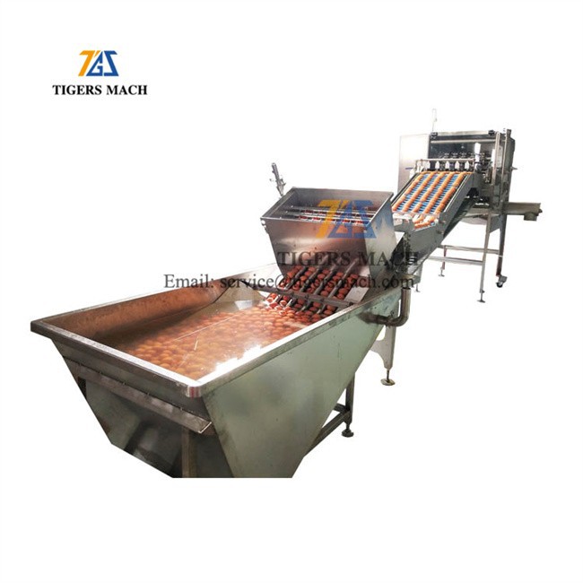 Full automatic egg separation machine