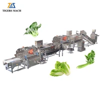 Daržovių plovimo linija